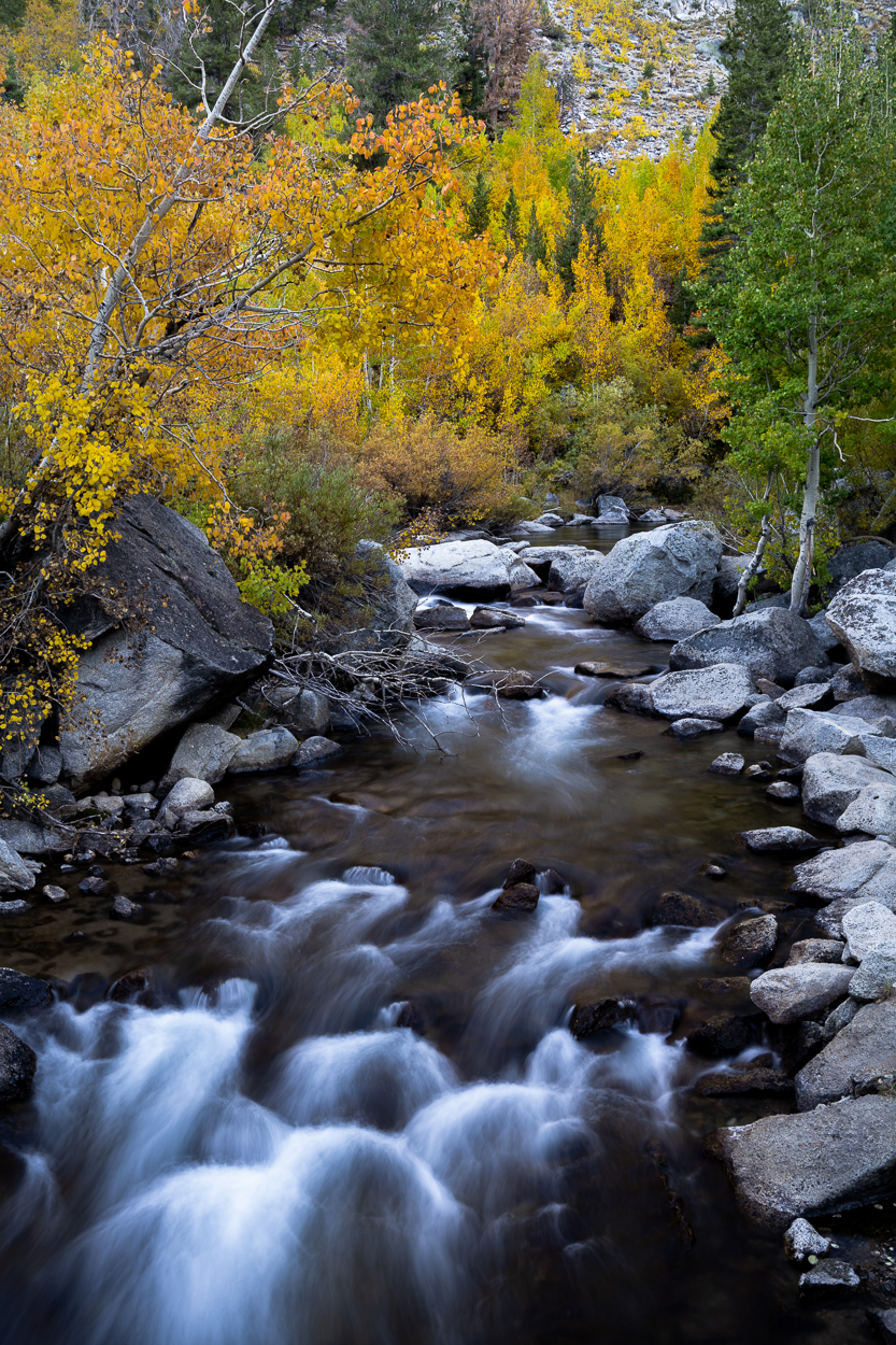 Photography: Tips for Shooting Fall Color in the Eastern Sierras